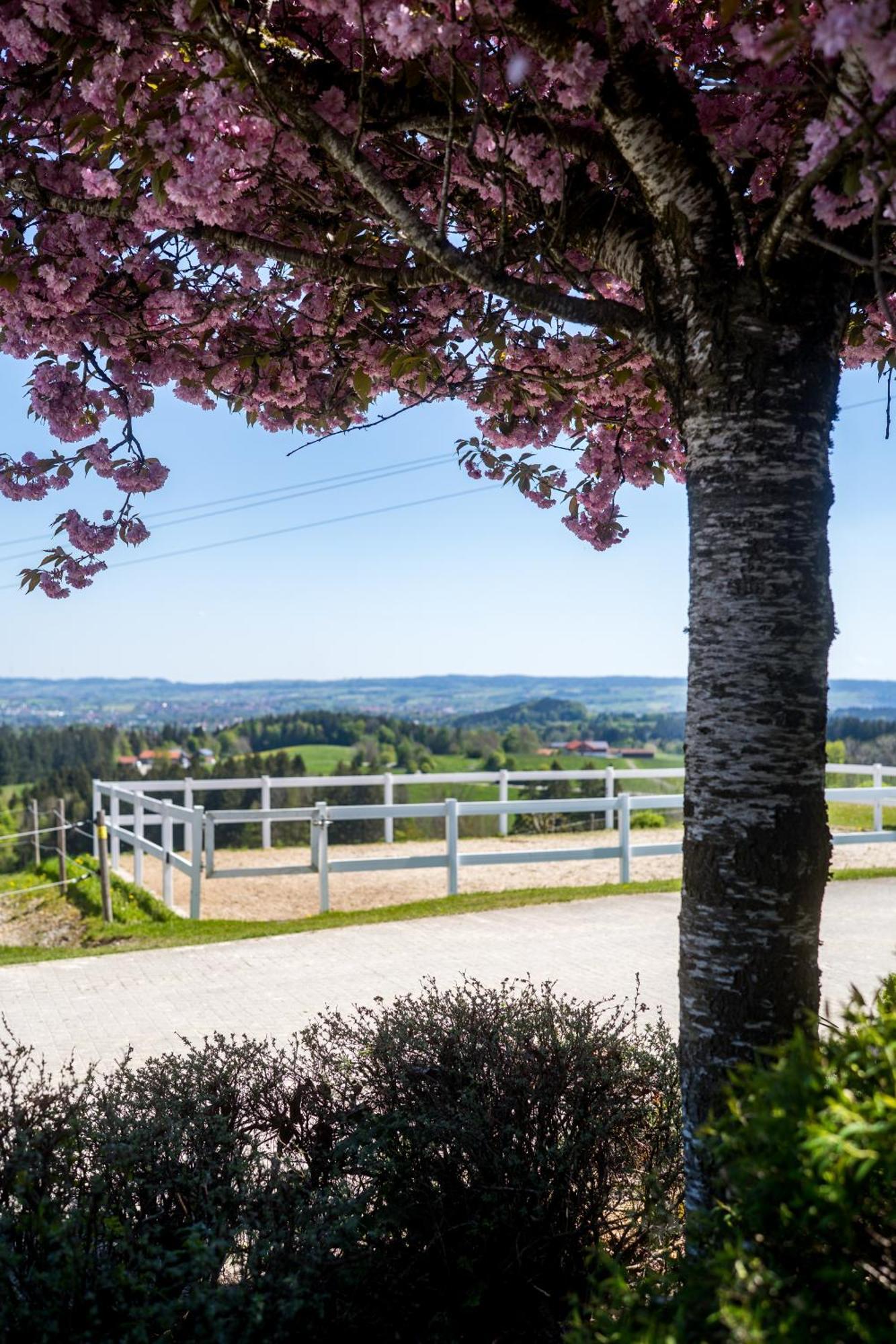 Ferienwohnung Gut Buchenhof Buchenberg  Exterior foto
